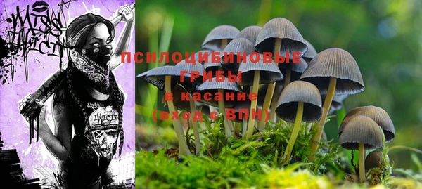 индика Кулебаки