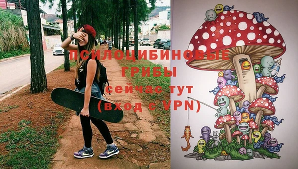 мяу мяу мука Покровск