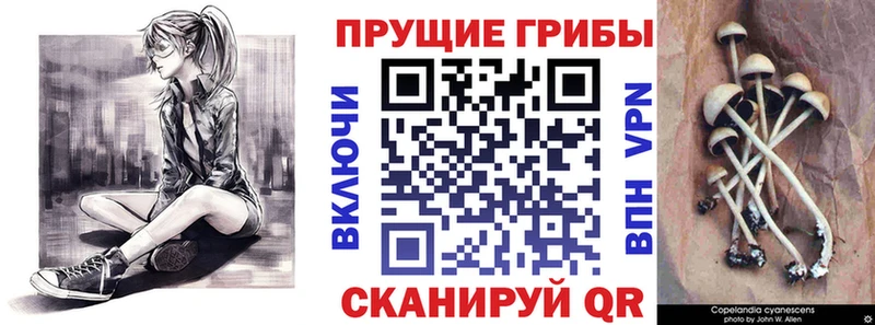 Галлюциногенные грибы Cubensis МЕГА ONION shop состав Льгов